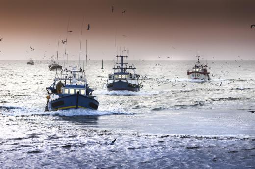 Commercial fishing boats can use sea anchors to slow drift allowing them access to large schools of fish.