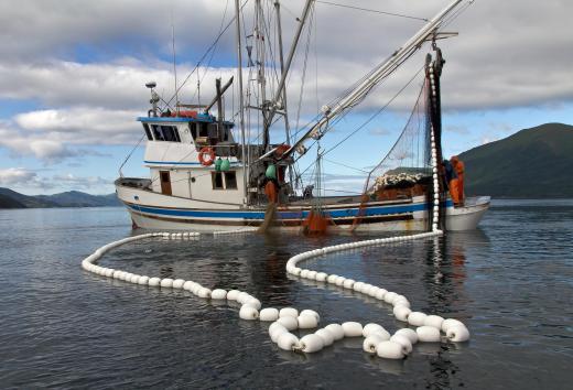 What Is A Tuna Boat with Pictures 