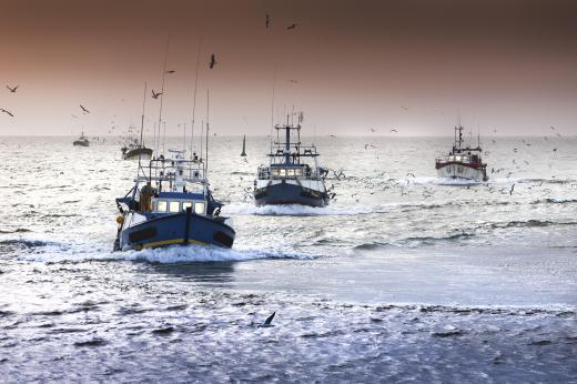 A trawler is a boat designed for medium- or large-scale fishing.