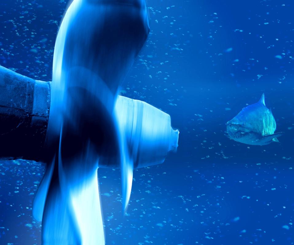 How does a Boat Propeller Work? (with pictures)